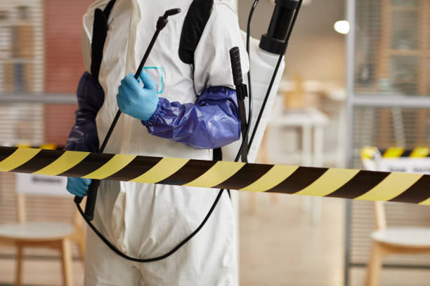 Professional Biohazard technician working in Bulverde, TX